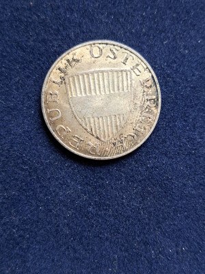 19 028.jpg