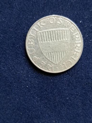 19 031.jpg