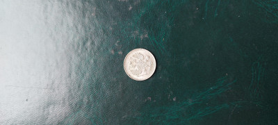 20250514_134921.jpg