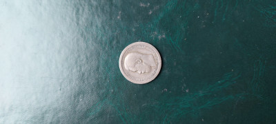 20250514_135011.jpg