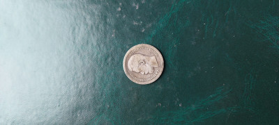 20250514_135043.jpg