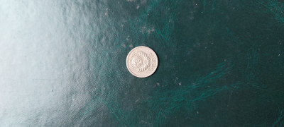 20250514_135137.jpg