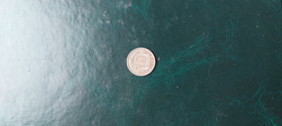 20250514_135150.jpg
