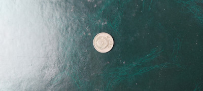 20250514_135157.jpg