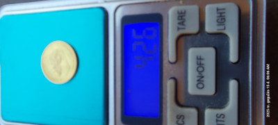 20250515_060600.jpg