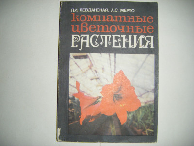 DSCF3444.JPG
