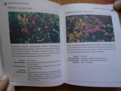 DSCN4403.JPG