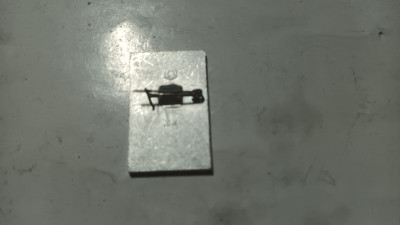 20250516_070418.jpg