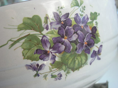 P1010004.JPG