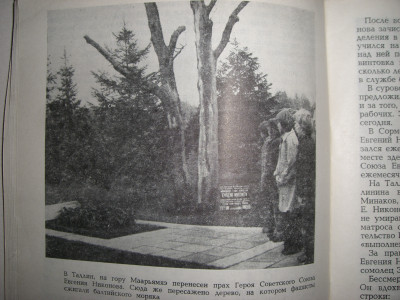 CIMG8135.JPG