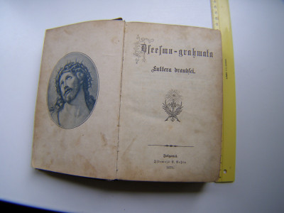 P1011189.JPG