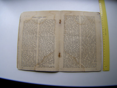 P1011197.JPG