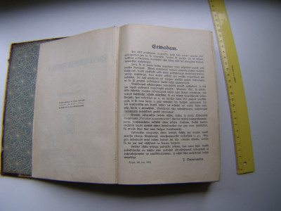 P1011213.JPG