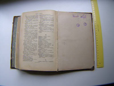 P1011214.JPG