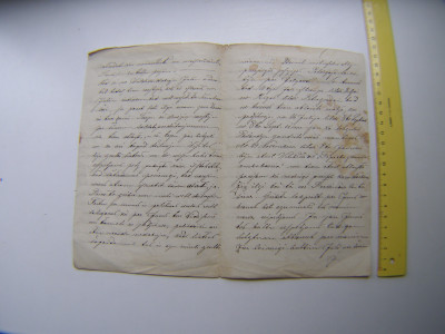 P1011230.JPG