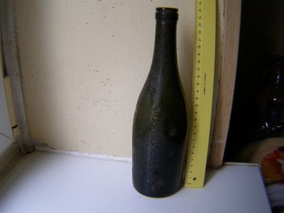 P1011251.JPG