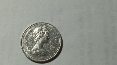 20250520_131256.jpg
