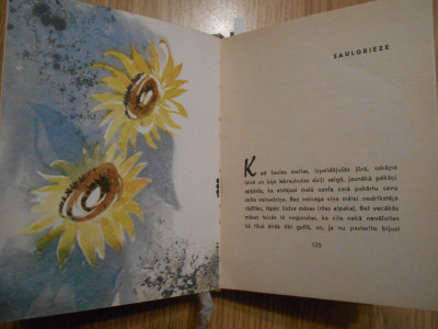 DSCN3741.JPG