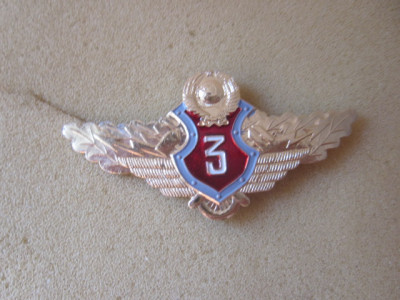 знаски 002.JPG