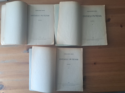 20250521_195214.jpg