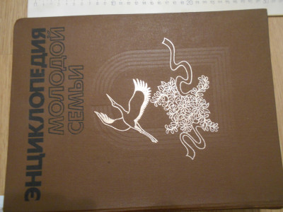 DSCN3263.JPG