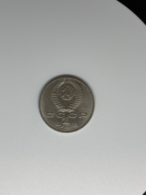 145.jpg