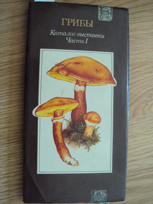 DSC02290.JPG