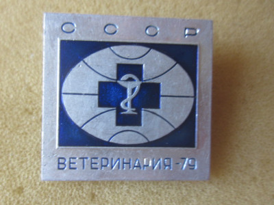 знаски 033.JPG