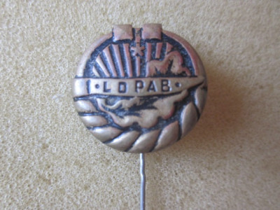 знаски 037.JPG