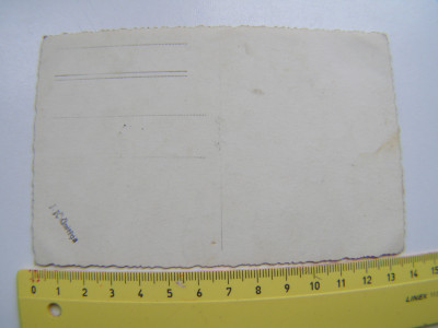 P1011330.JPG