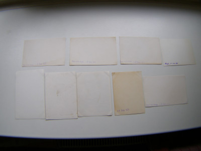 P1011332.JPG