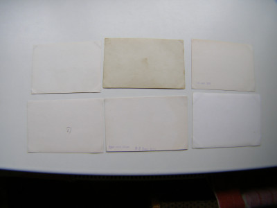 P1011334.JPG