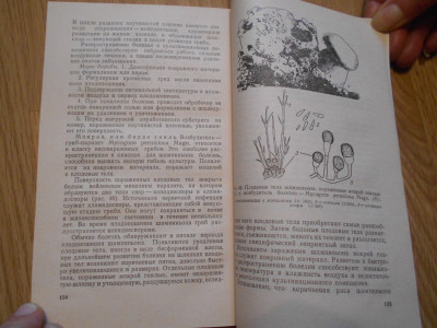 DSCN3309.JPG