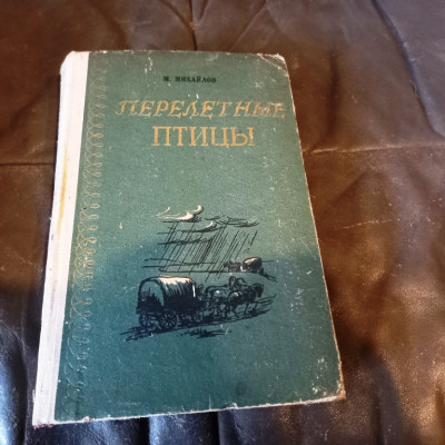 20250525_194745.jpg