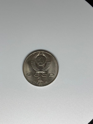 219.jpg