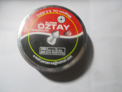 file8.jpg