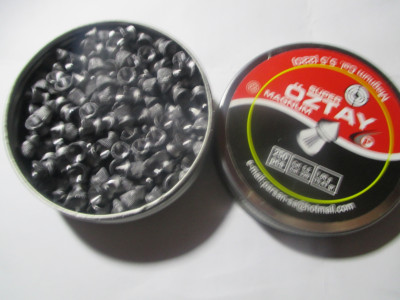 file11.jpg