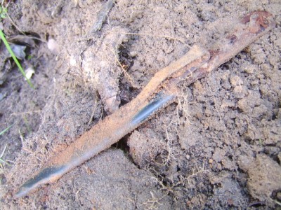STA78045.JPG