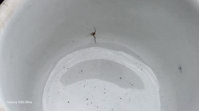 IMG-20250528-WA0012.jpg