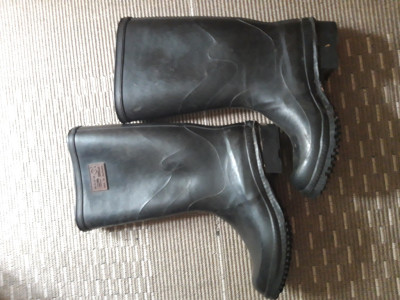20250529_085136.jpg