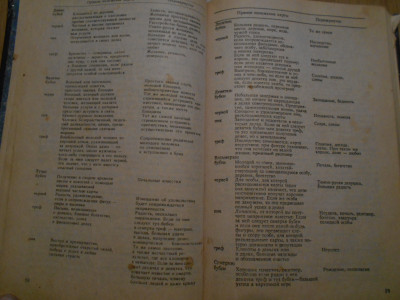 DSCN3174.JPG