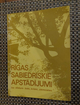 20250524_234323.jpg