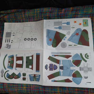 20250524_113142.jpg