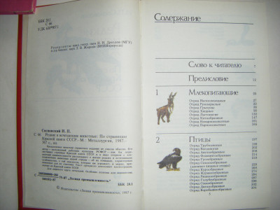 DSCF4711.JPG