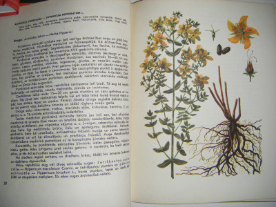 DSCF4394.JPG