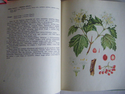 DSCF4395.JPG