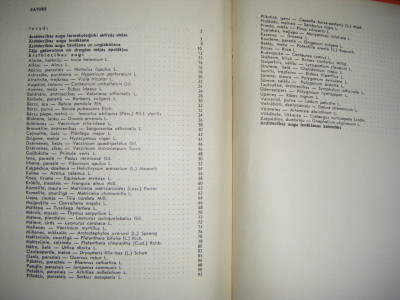 DSCF4398.JPG