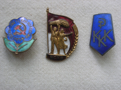 P1010003.JPG