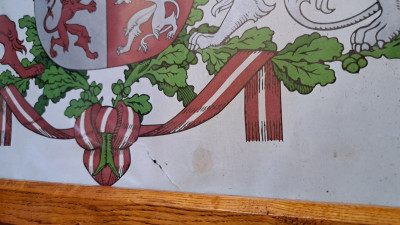 20241028_115349.jpg