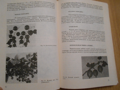 DSCN3877.JPG